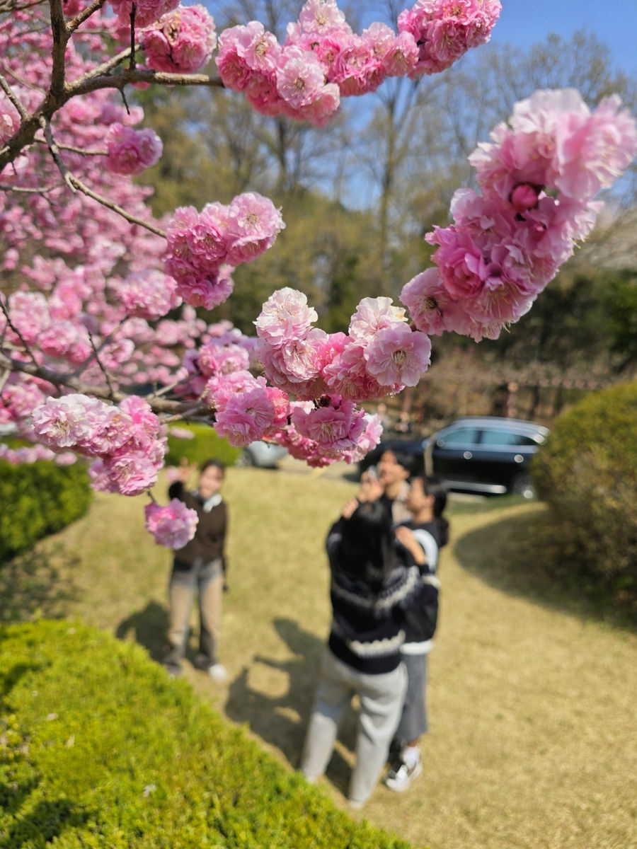 Membership training & cherry blossoms, 2025 — 2