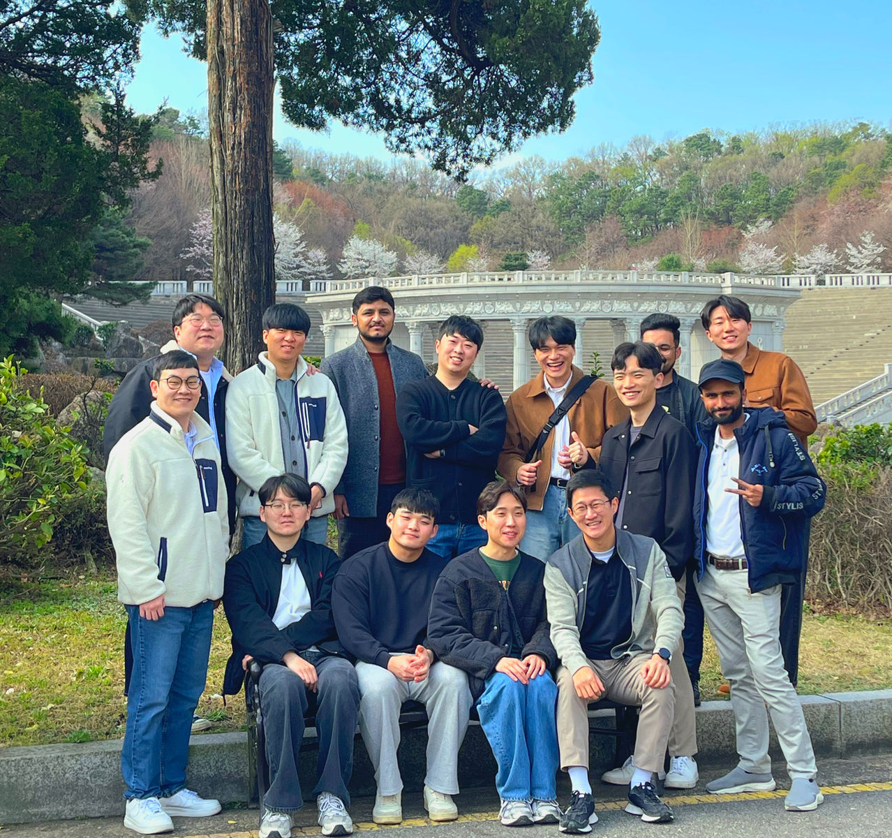Cherry blossoms, 2024 — 2