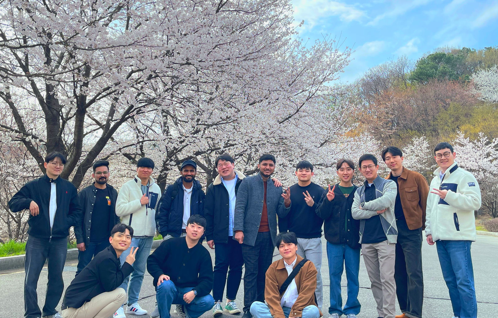 Cherry blossoms, 2024 — 3