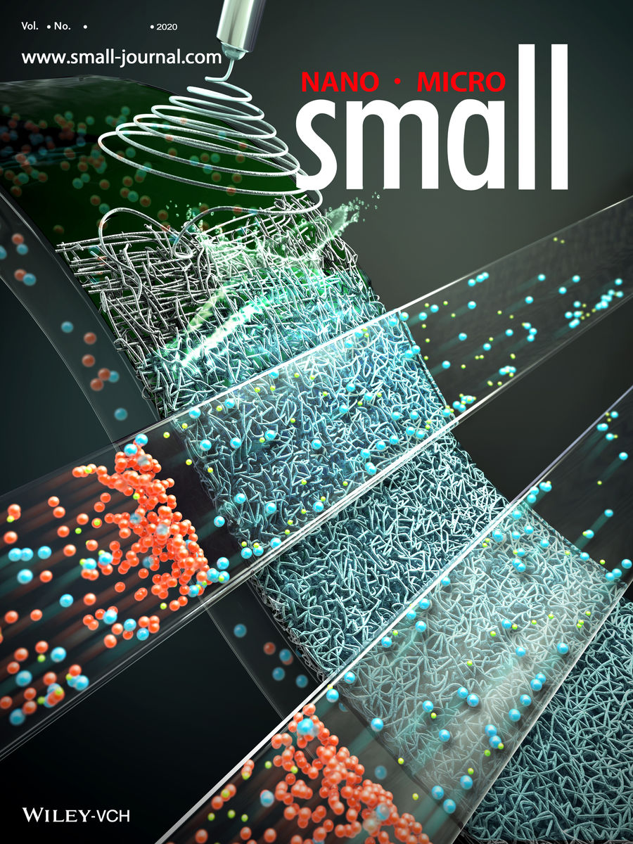 MAPLAB journal cover 3