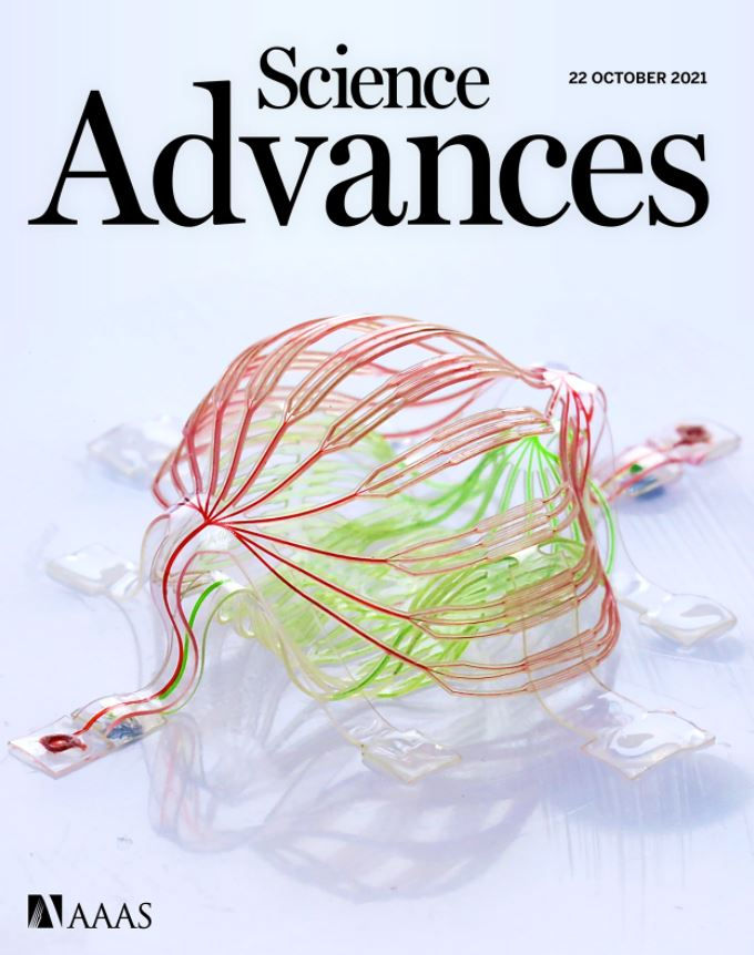 MAPLAB journal cover 6