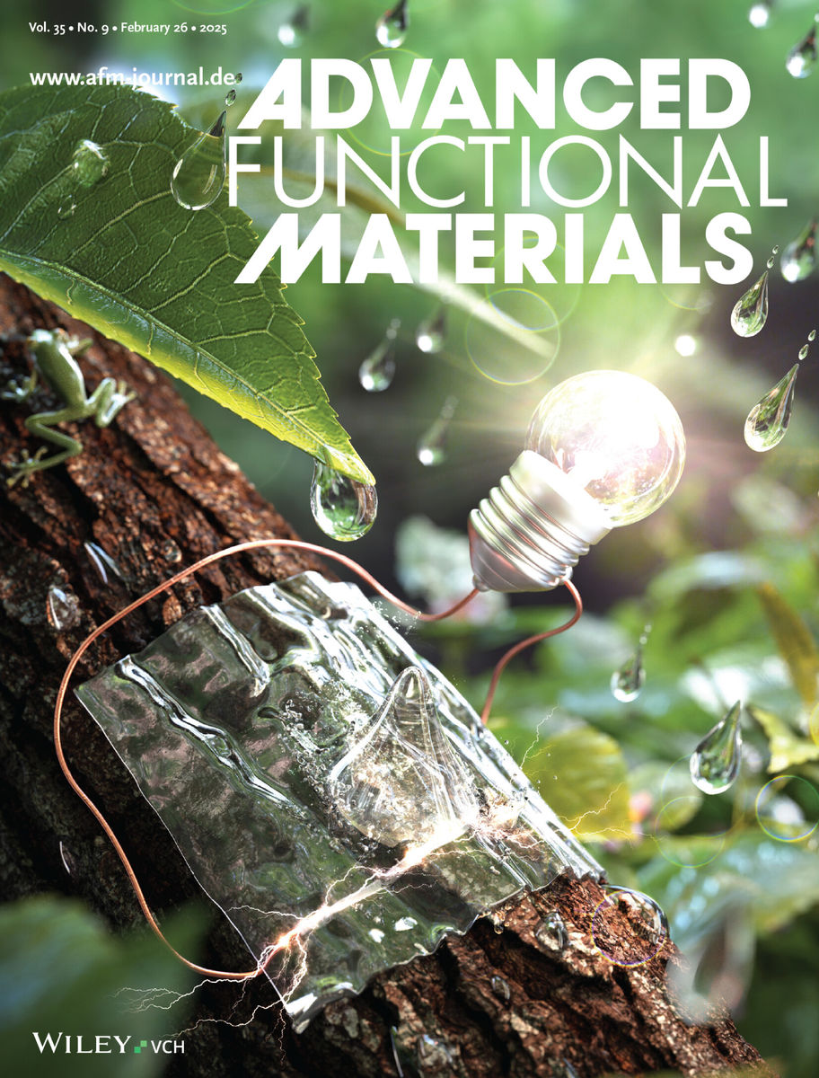 MAPLAB journal cover 12