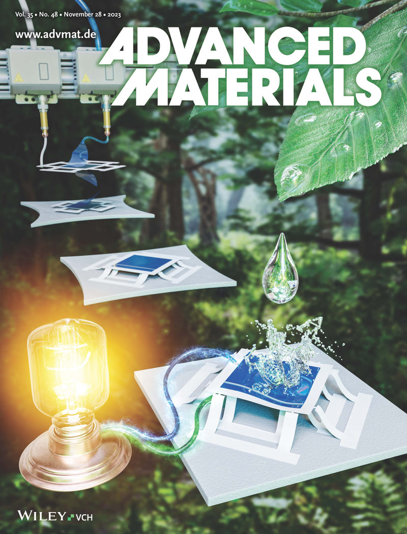 [Publication] Dongik Kam and Girak Gwon's paper is published in Advanced Materials (Inside Back Cover)